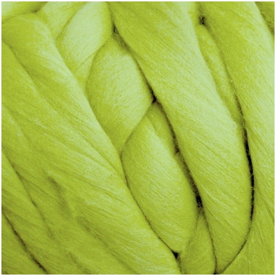 Wool tops 50g. ± 2,5g. Color - salad dish, 26 - 31 mik.