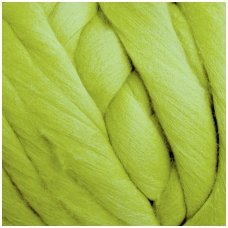 Fine wool tops 50g. ± 2,5g. Color - salad dish, 18,6 - 20 mik.