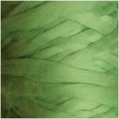 Merino wool space tops 50g. ± 2,5g. Color - apple green, 20,1 - 23 mic.