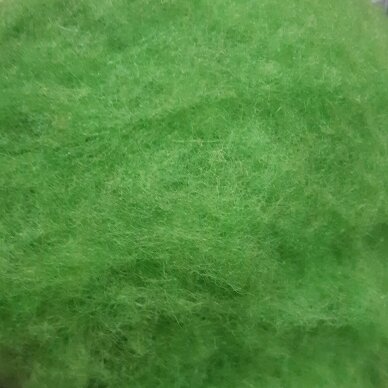 New Zealand carded wool 50g. ± 2,5g. Color - apple green, 27 - 32 mik.