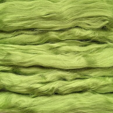 Viscose fiber. Colour- salad 10g.